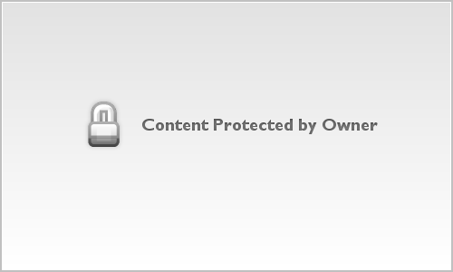 Lisa Seltzer 02-11